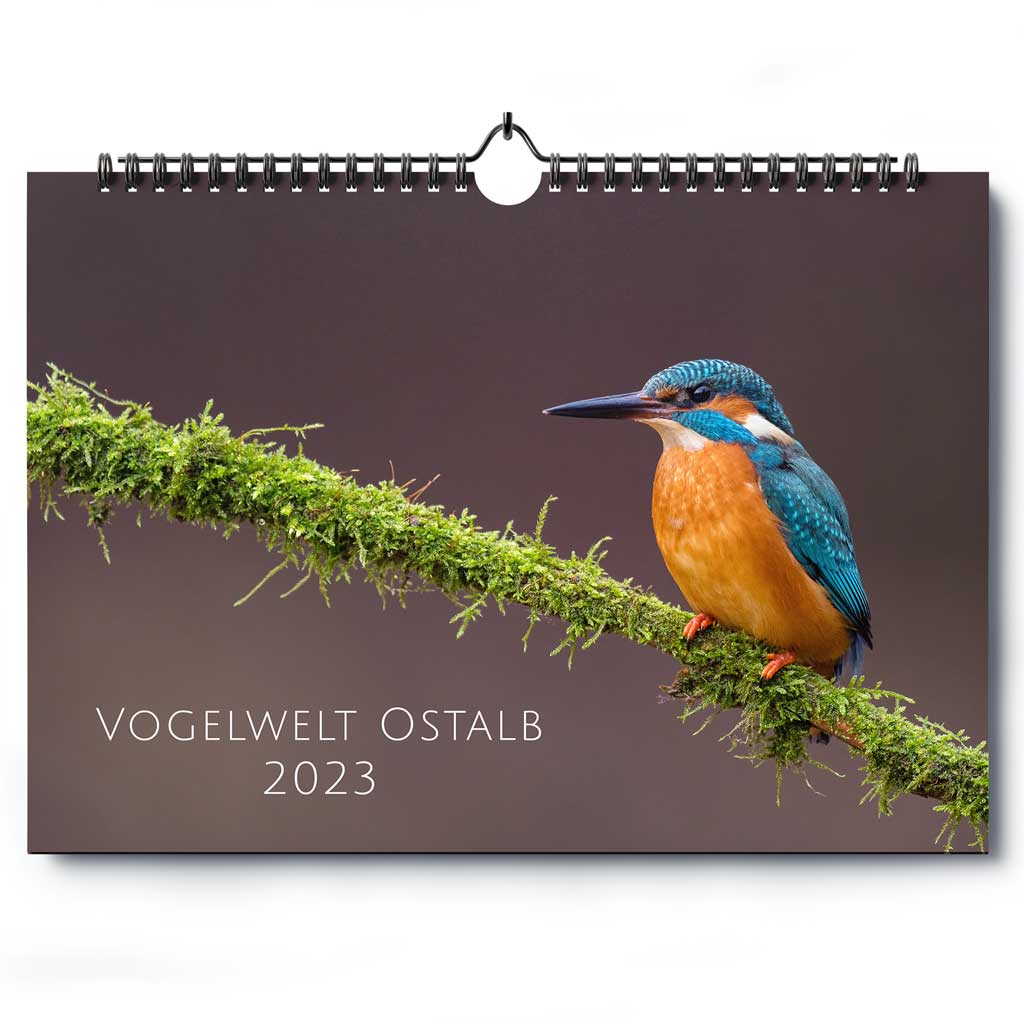 „Vogelwelt Ostalb 2023“ – Wandkalender DIN A3 quer