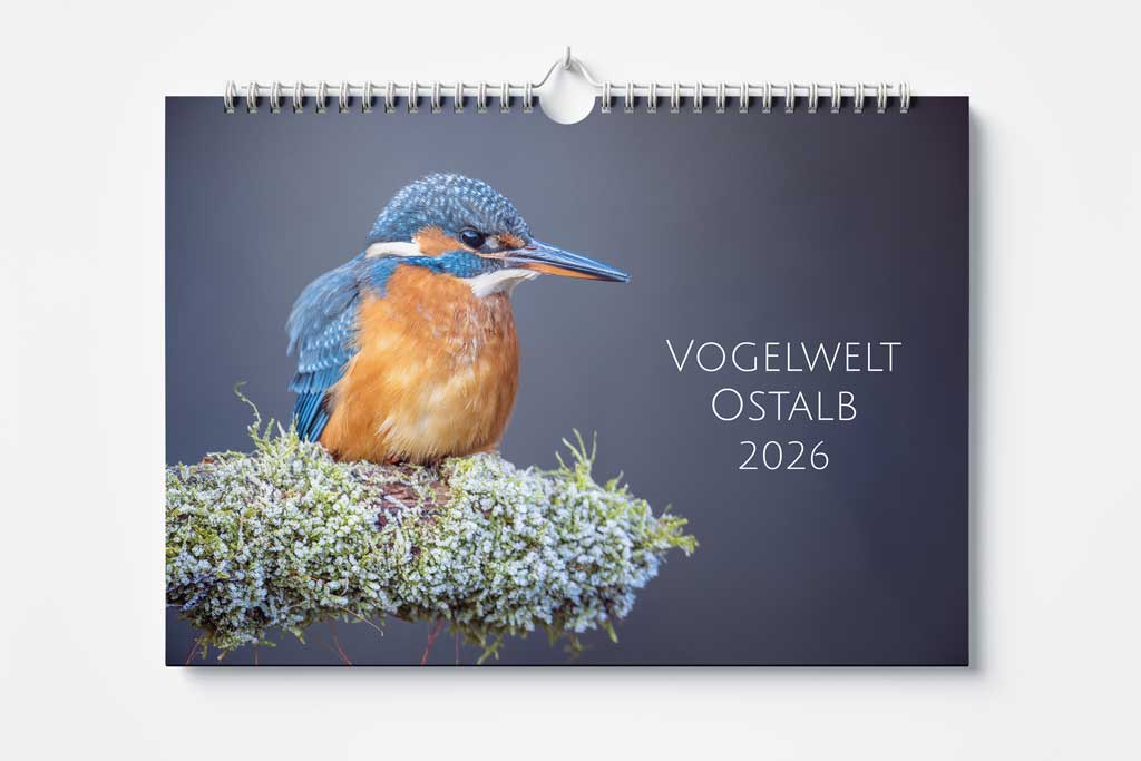 Kalender Vogelwelt Ostalb