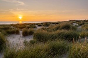 Fotoworkshop Fotoreise Texel