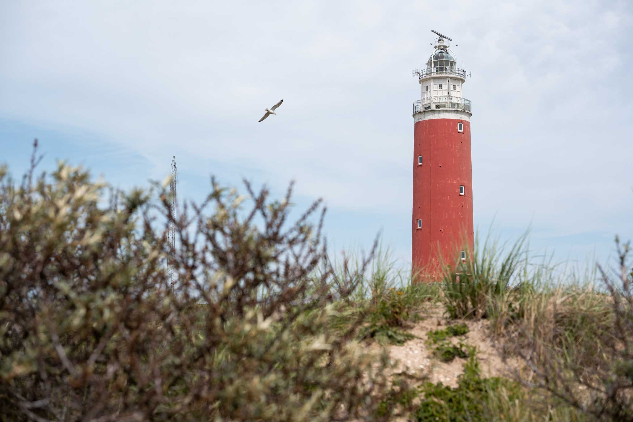 Texel Leuchtturm - Fotoworkshop Fotoreise Texel