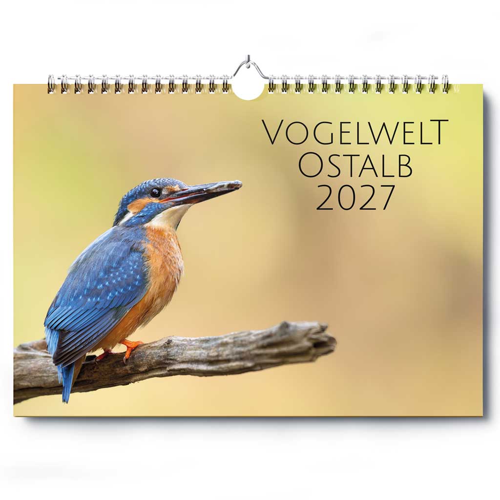 „Vogelwelt Ostalb 2027" - Wandkalender DIN A3 quer