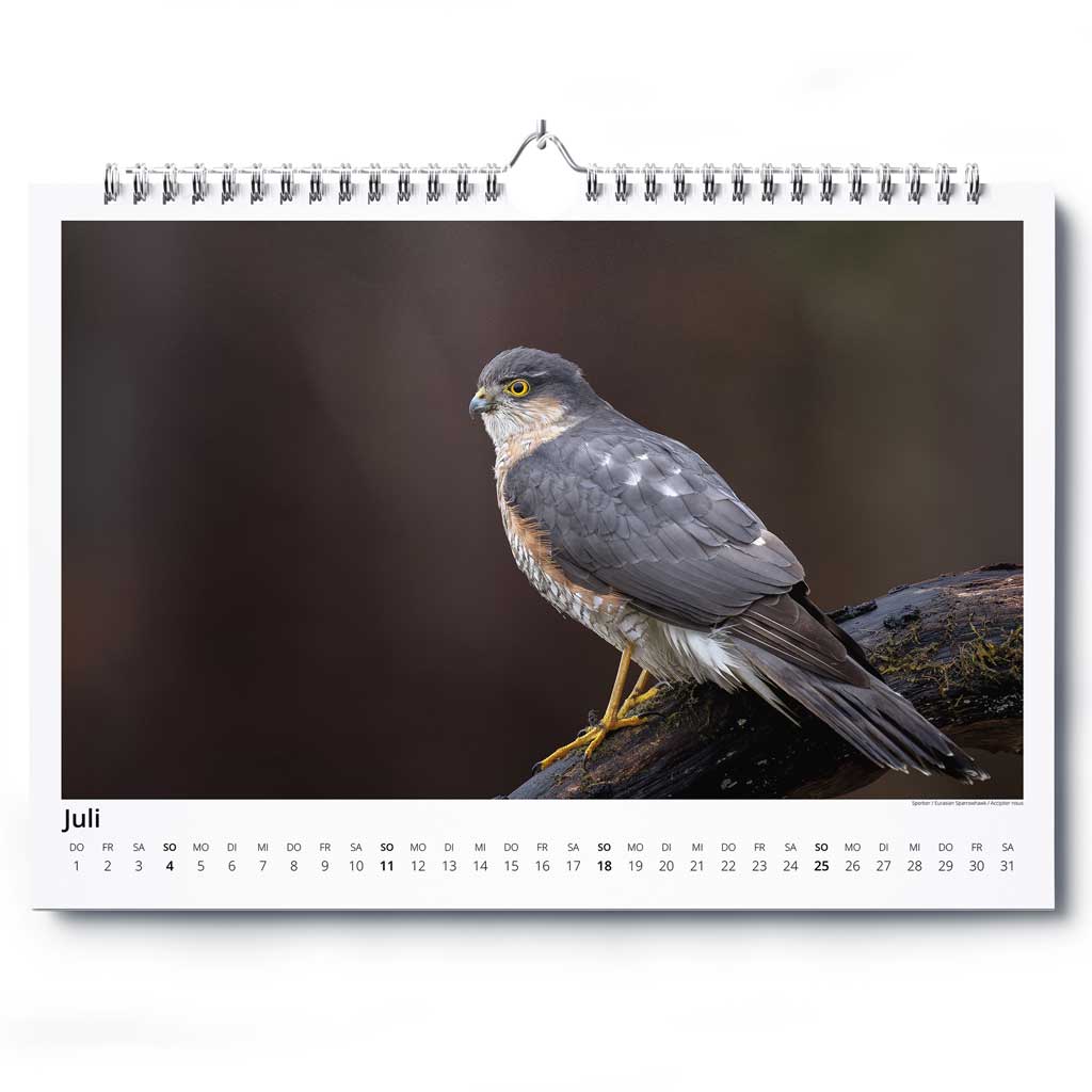 „Vogelwelt Ostalb 2027" - Wandkalender DIN A3 quer – Bild 8