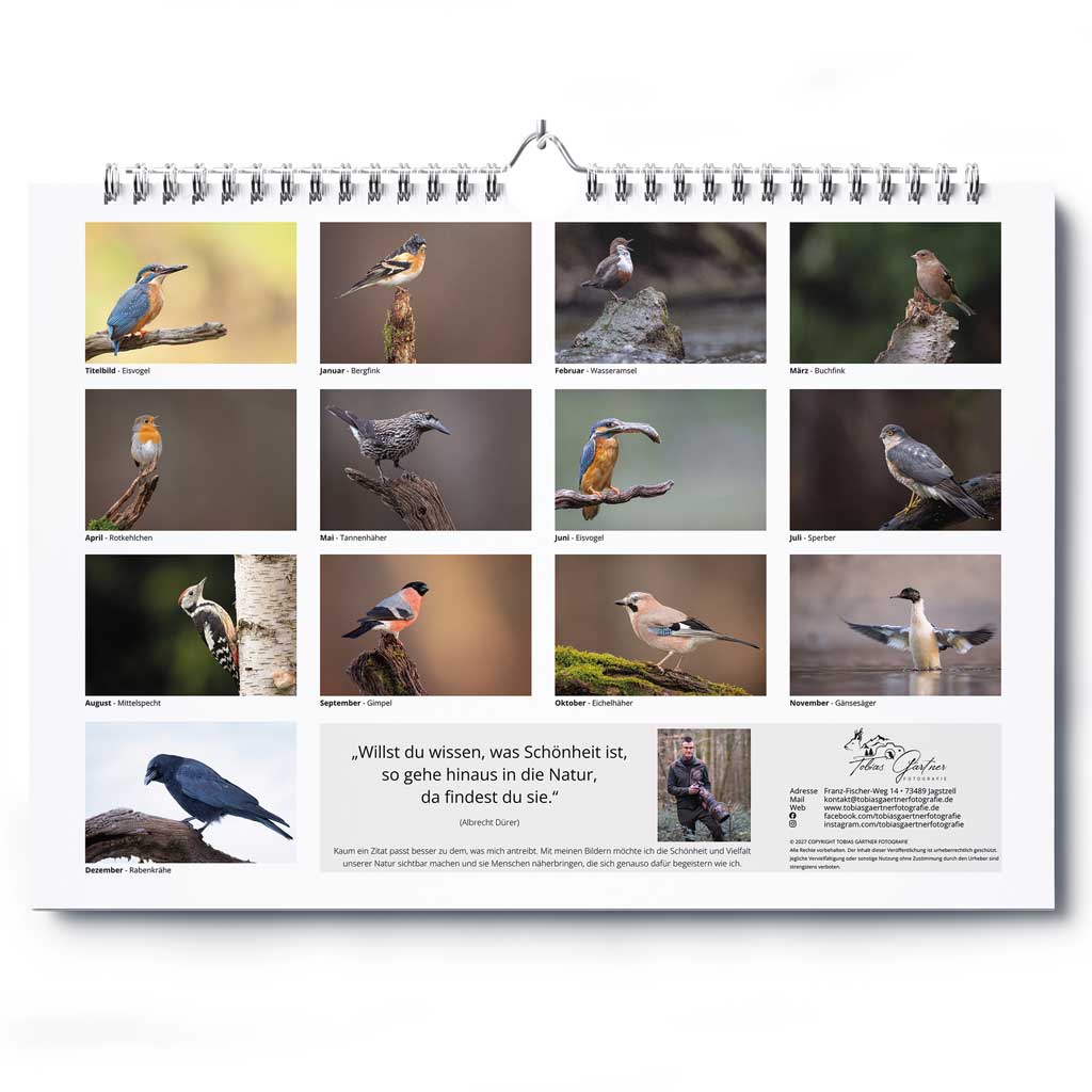 „Vogelwelt Ostalb 2027" - Wandkalender DIN A3 quer – Bild 13
