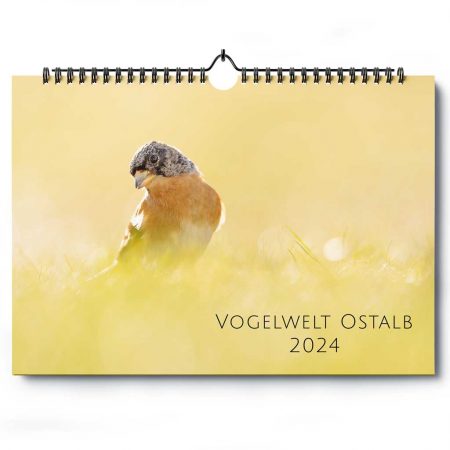 Kalender "Vogelwelt Ostalb 2024"